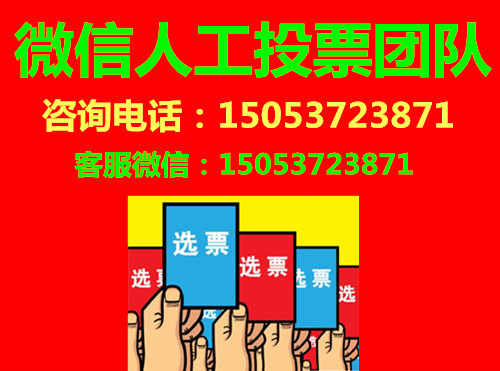微信投票團(tuán)隊(duì)