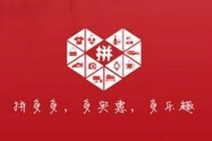 拼多多店鋪領航員