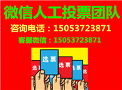 微信投票團(tuán)隊(duì)怎么收費(fèi)？專業(yè)微信投票多少錢一票